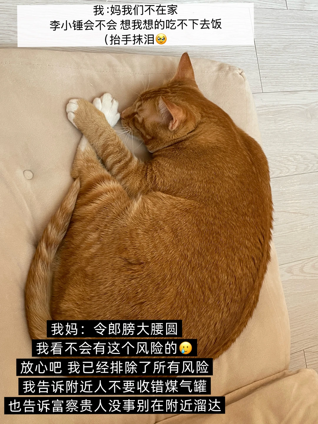 当你有一个毒舌老妈