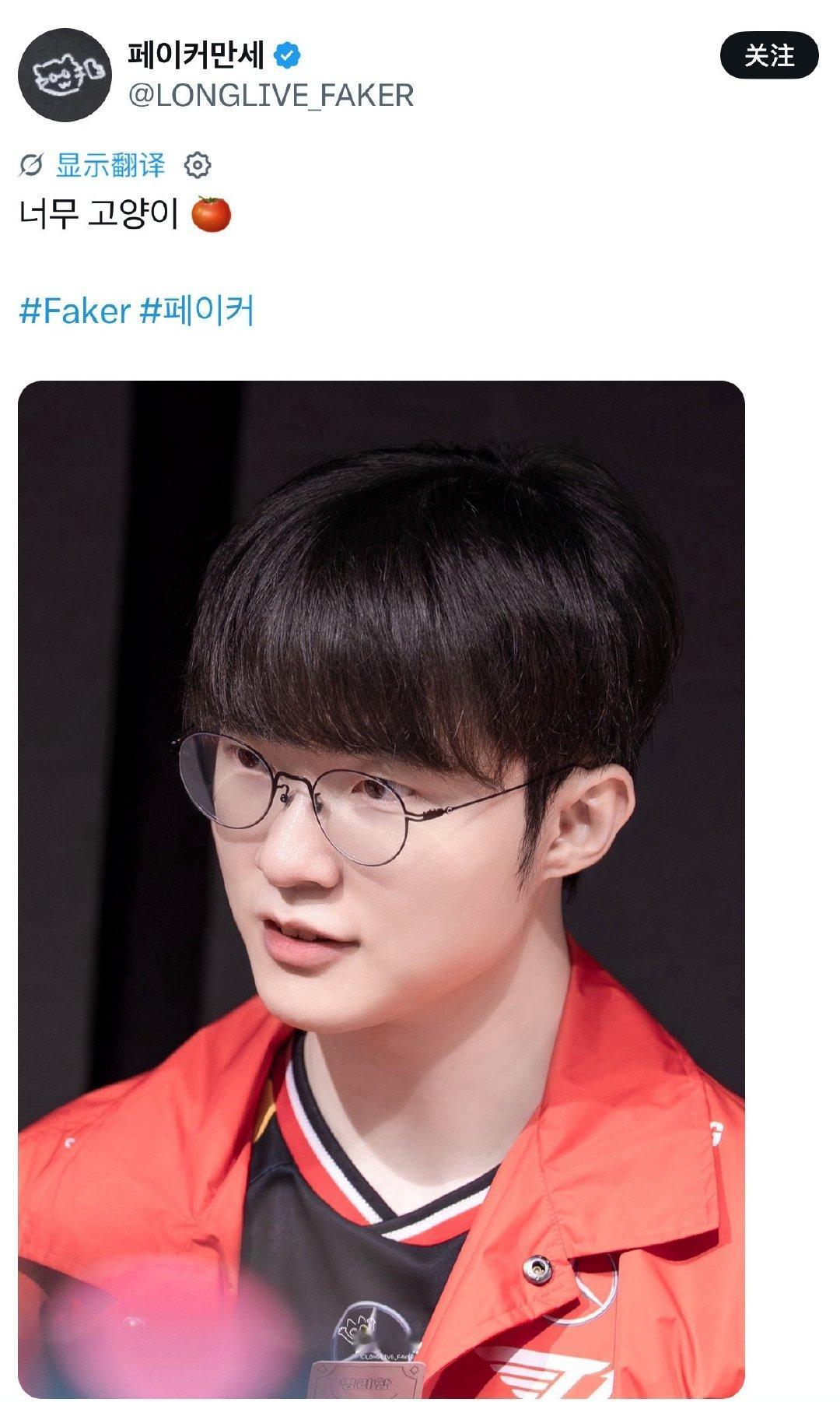 🍅猫好漂亮 ​