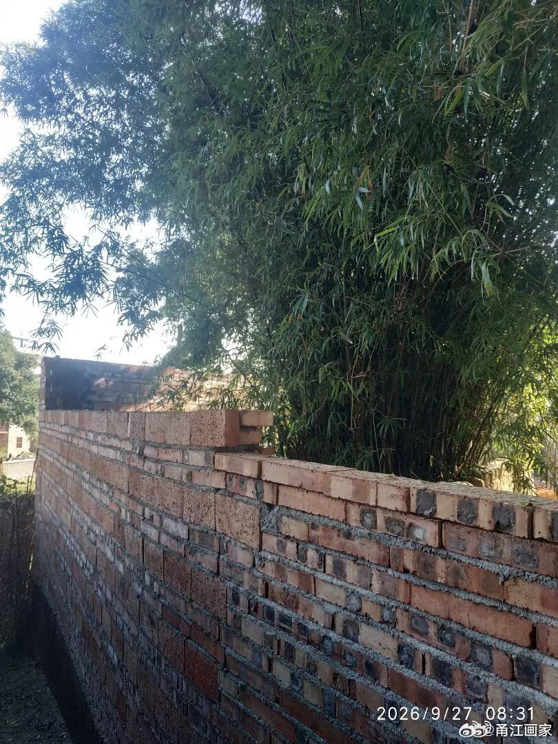 #群众身边不正之风与腐败# 
对该起无证建设、涉嫌非法占地行为依法调查处置。
针对该起无证建设、涉嫌非法占地问题，由自然资源执法部门牵头开展全流程调查处置工作，严格依照《中华人民共和国土地管理法》《中华人民共和国城乡规划法》《自然资源行政处罚办法》开展执法，做到事实查清、证据固定、定 ​