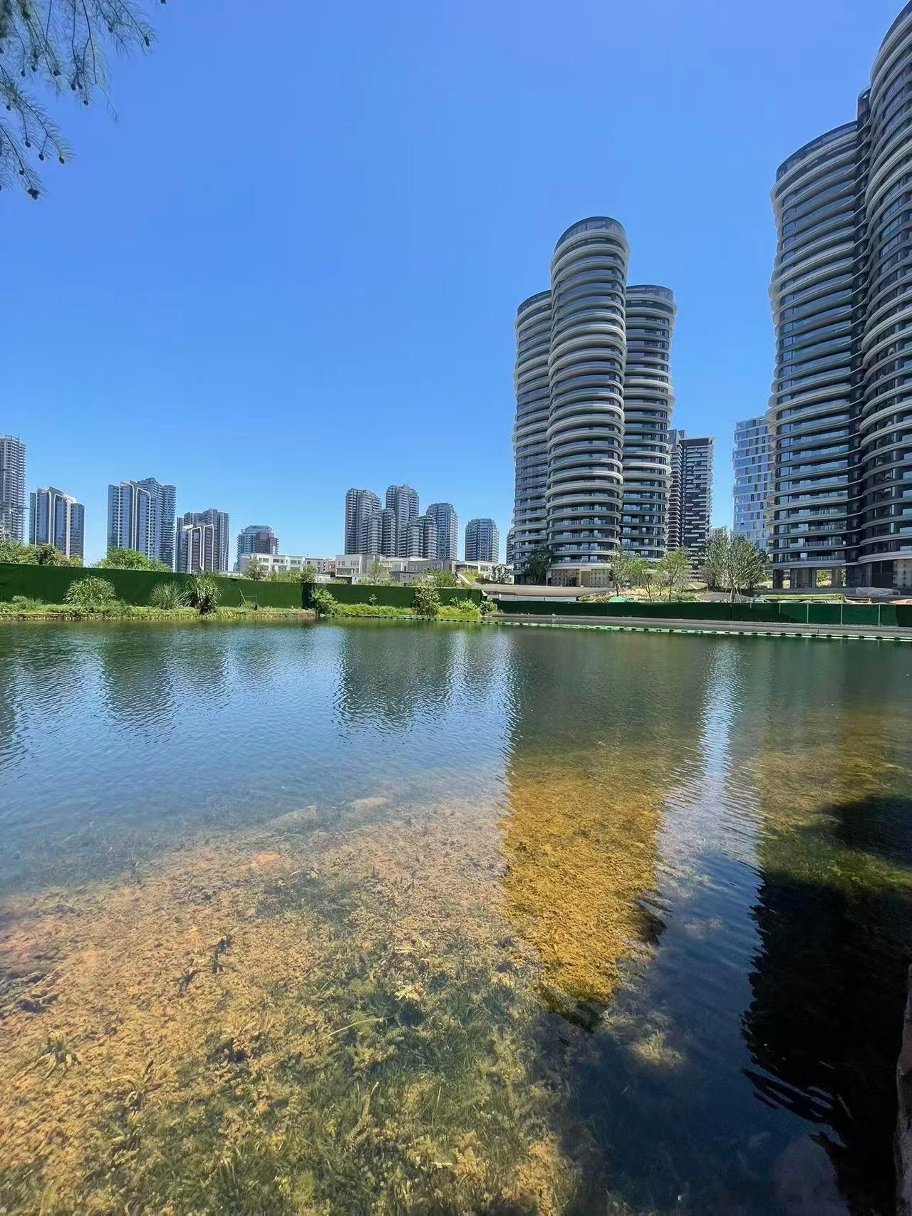 群友前几天投稿：“刚才去购房通和房小团搜索了下麓湖以前开盘售馨的盘，看看当时的购入价格，居然一个都搜索不到，麓湖为了不“破发”没少下功夫啊，给某华点个赞！”（据说目前已恢复[doge]）的确，符合这家开发商的一贯作风，软欺诈结合“地毯式”圈层推广的营销手法贯穿其整个销售体系，几乎不会给 ​
