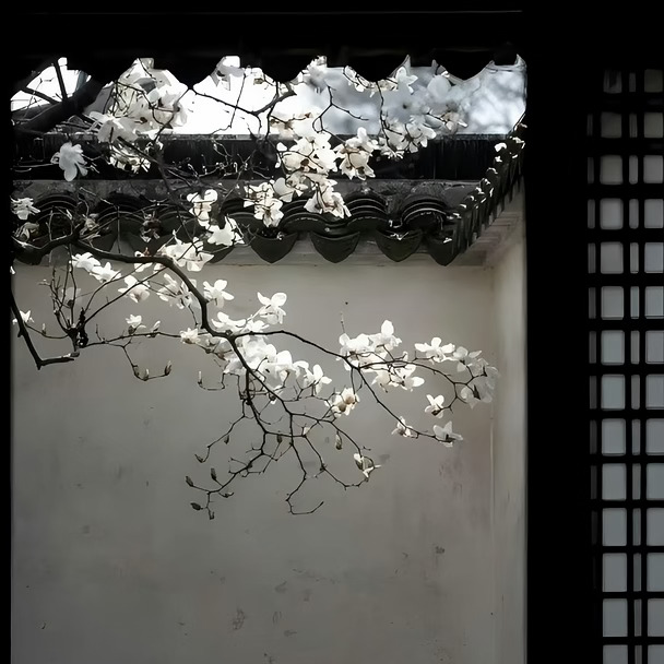 荀彧难寻玉