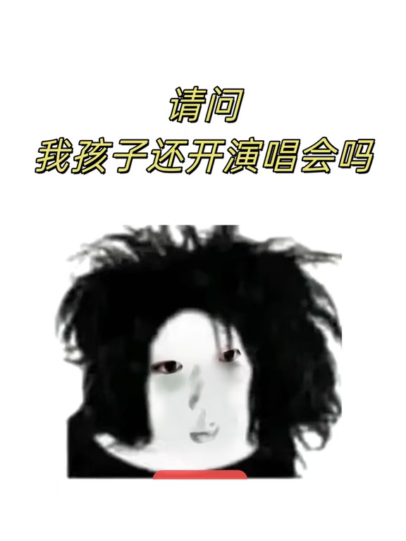 请问，我家孩子们还开演唱会吗😭