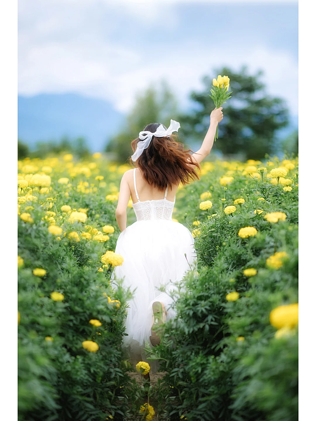📷误入花海深处|迎接春天|花海拍照教程