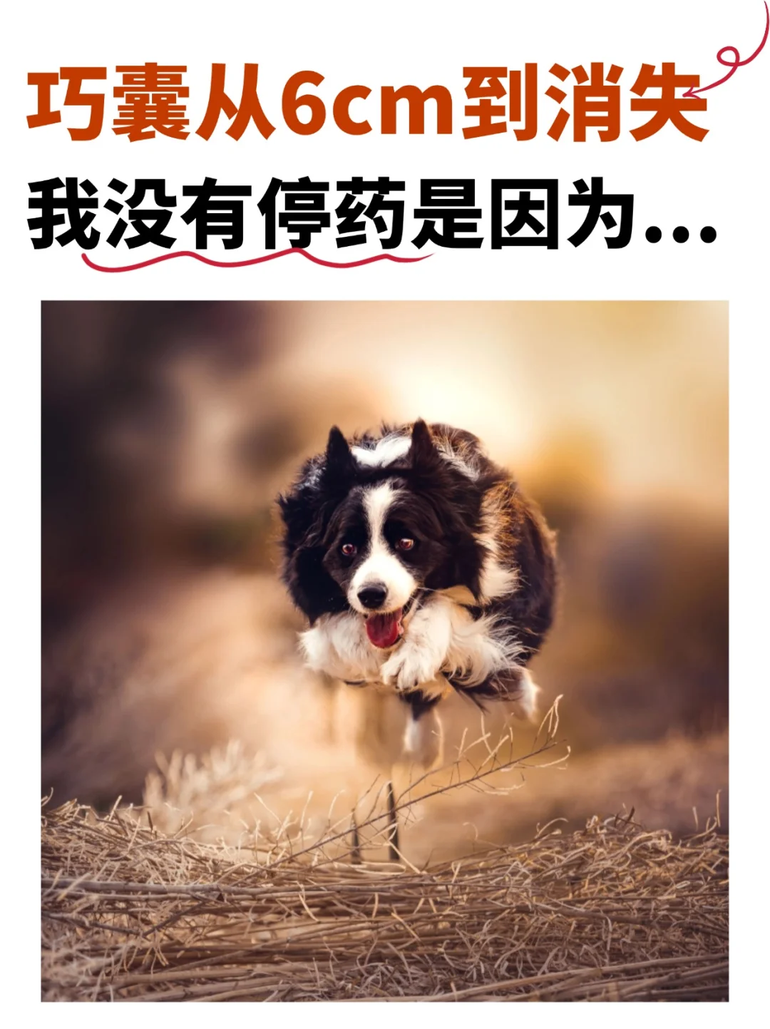 巧囊消失后，我没有停药！做了这3件事维持