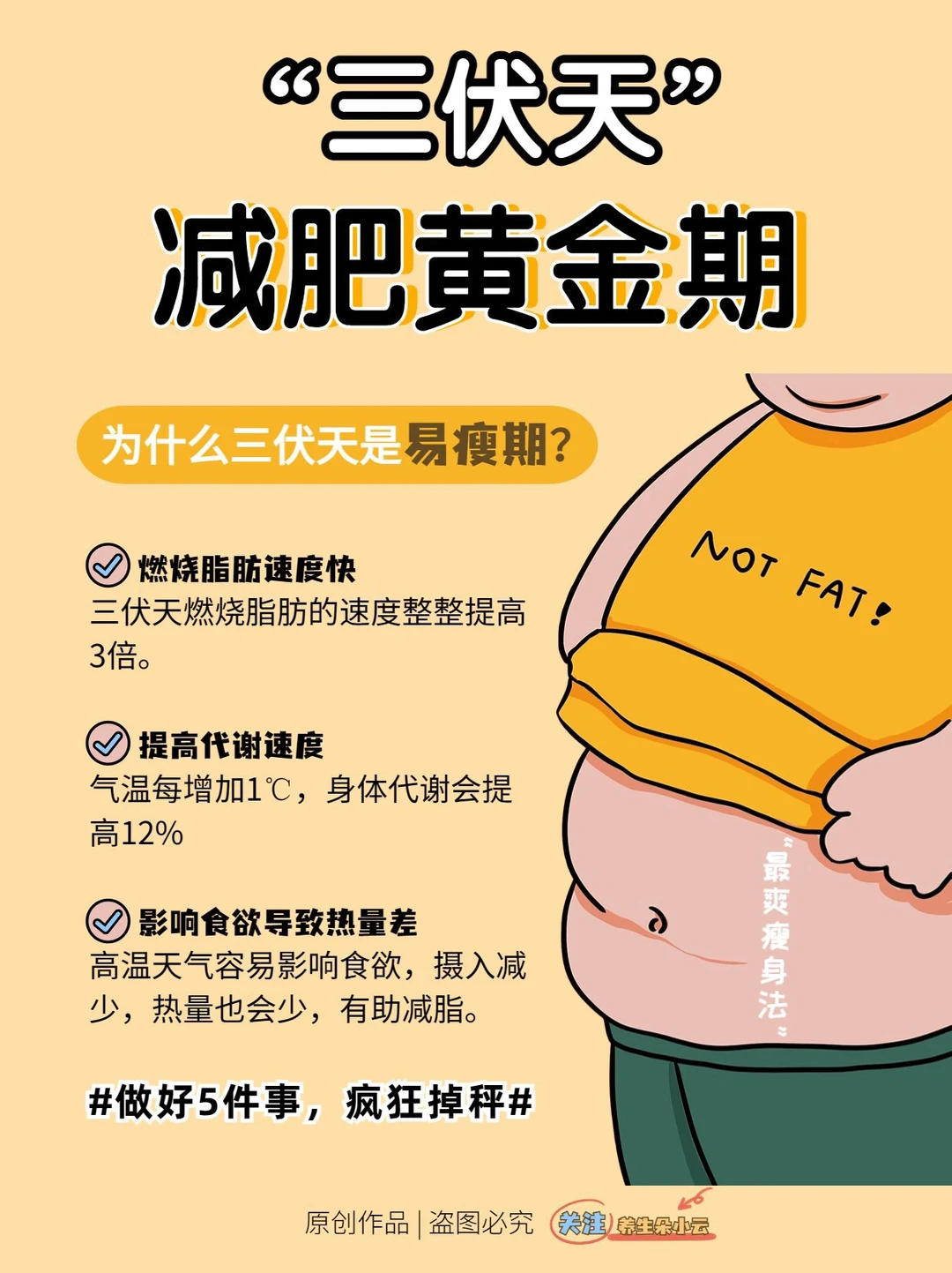 三伏减肥黄金期‼️掉秤飞快✅错过又等一年