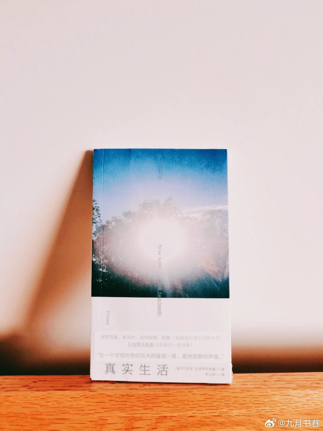 “文明多达五个音节，痛苦只有一个”