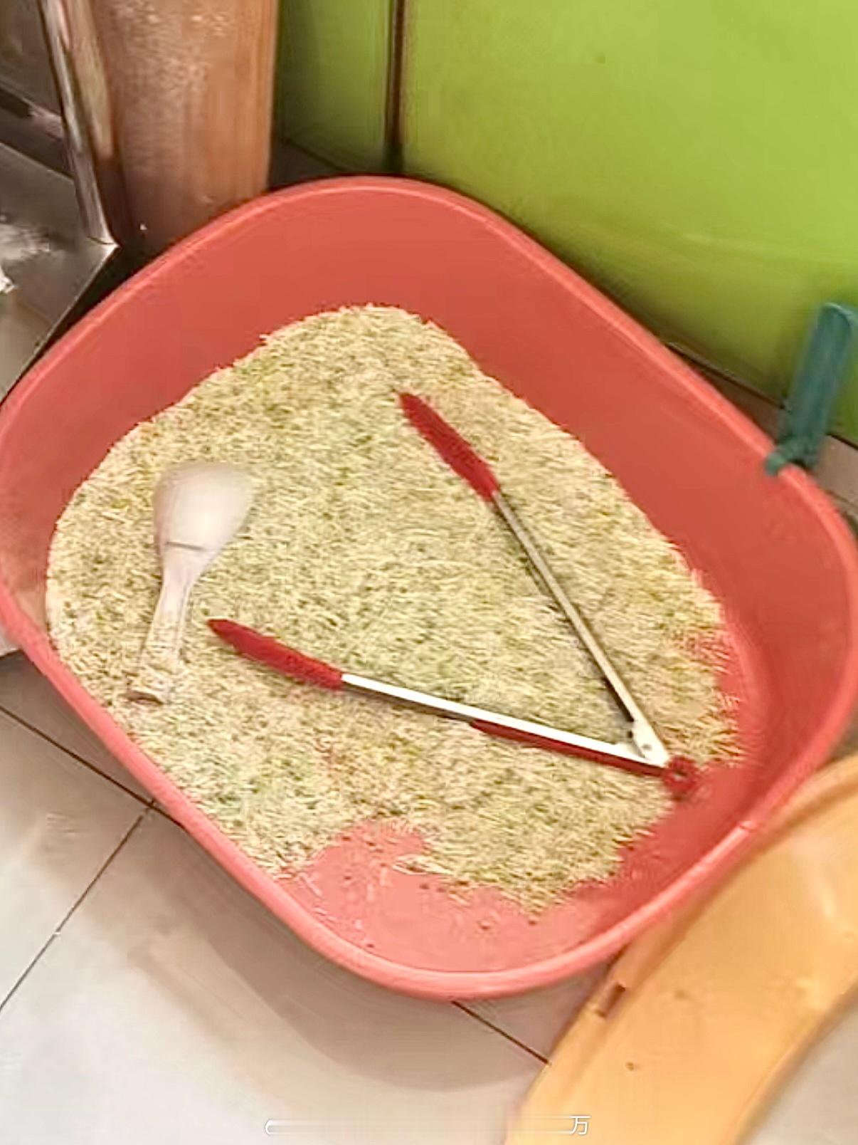 猫隔离在厨房的下场 ​​​
