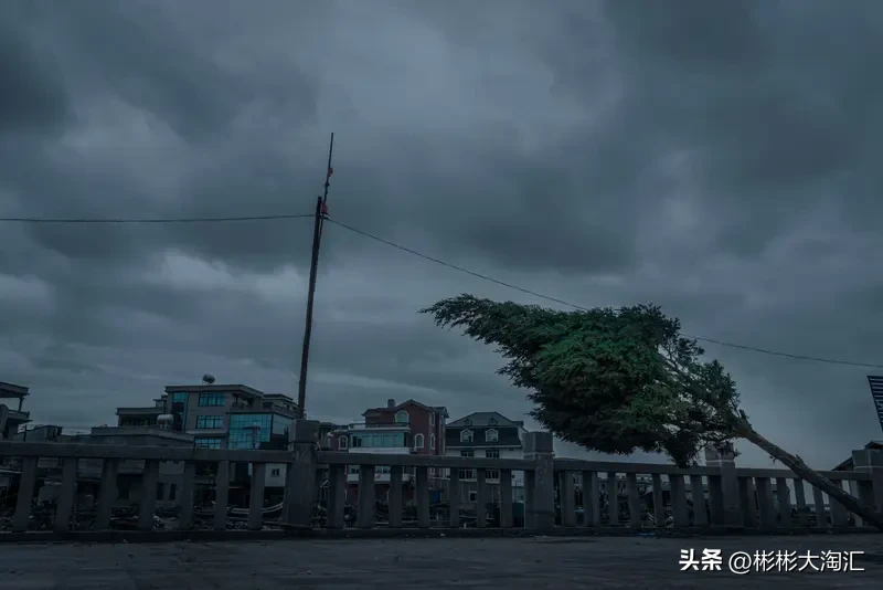 福建莆田这波强降雨真的太让人揪心了，台风“沙德尔”带来的连日暴雨直接把不少区域泡在了水里。
城厢区华亭镇受灾最严重，大片民房一楼直接漫进齐腰深的水，路边停的私家车半个车身都没进水里，不少住在低洼处的老人来不及转移，只能爬到二楼窗台挥手呼救。目前已经确认多人失联，华亭镇至少1人下落不明，还有不少被困群