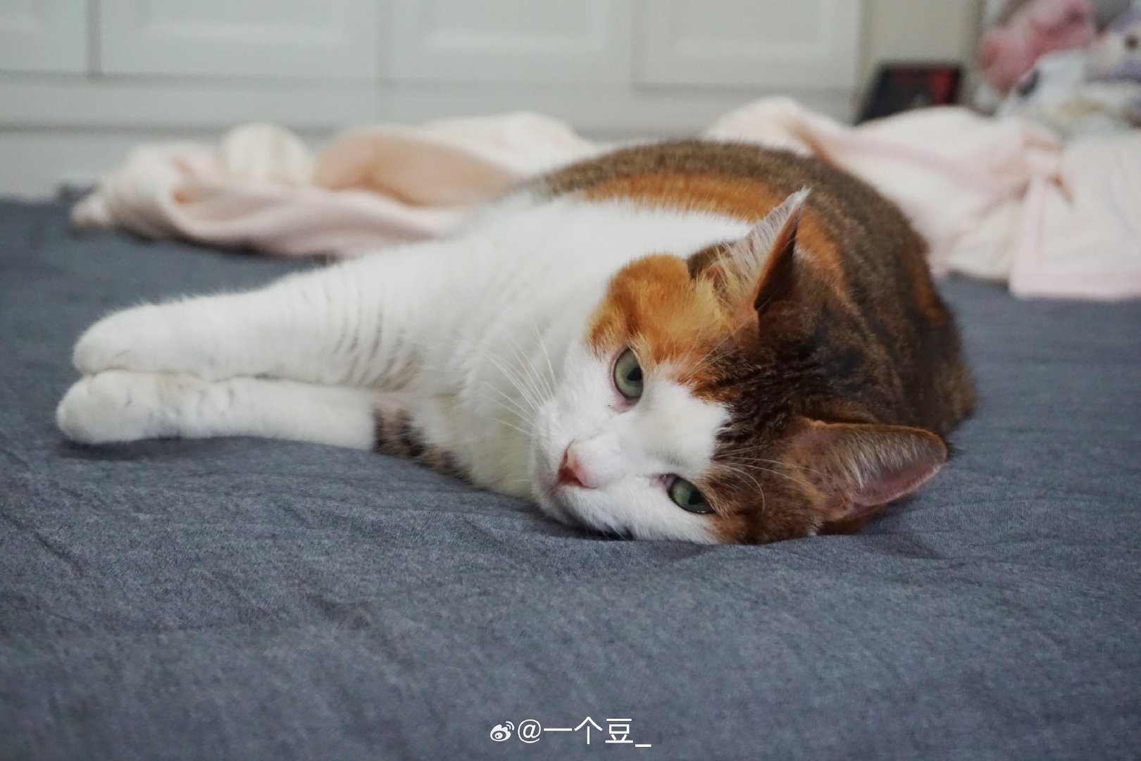 再见了 索尼 ​