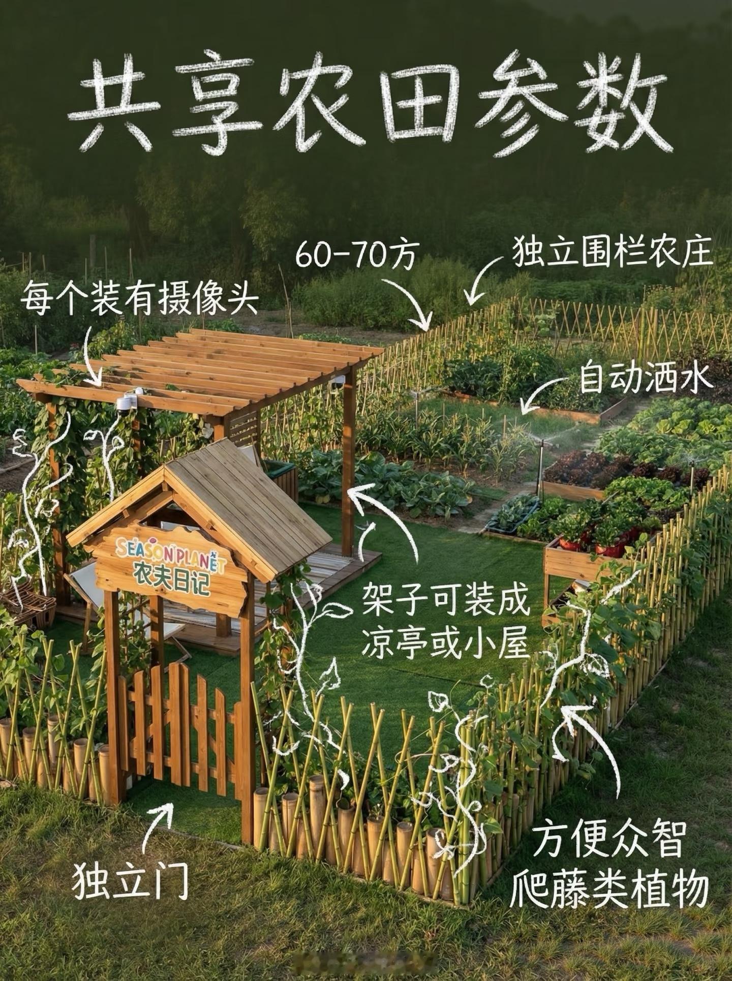 大结果没拿到大后果拿到不少初具规模，准备拿大结果。全网征集小菜园起名[偷笑]治愈系 ​​​