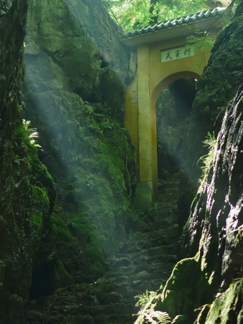 暴走武汉3万步，挖到3条巨治愈徒步路线❗️