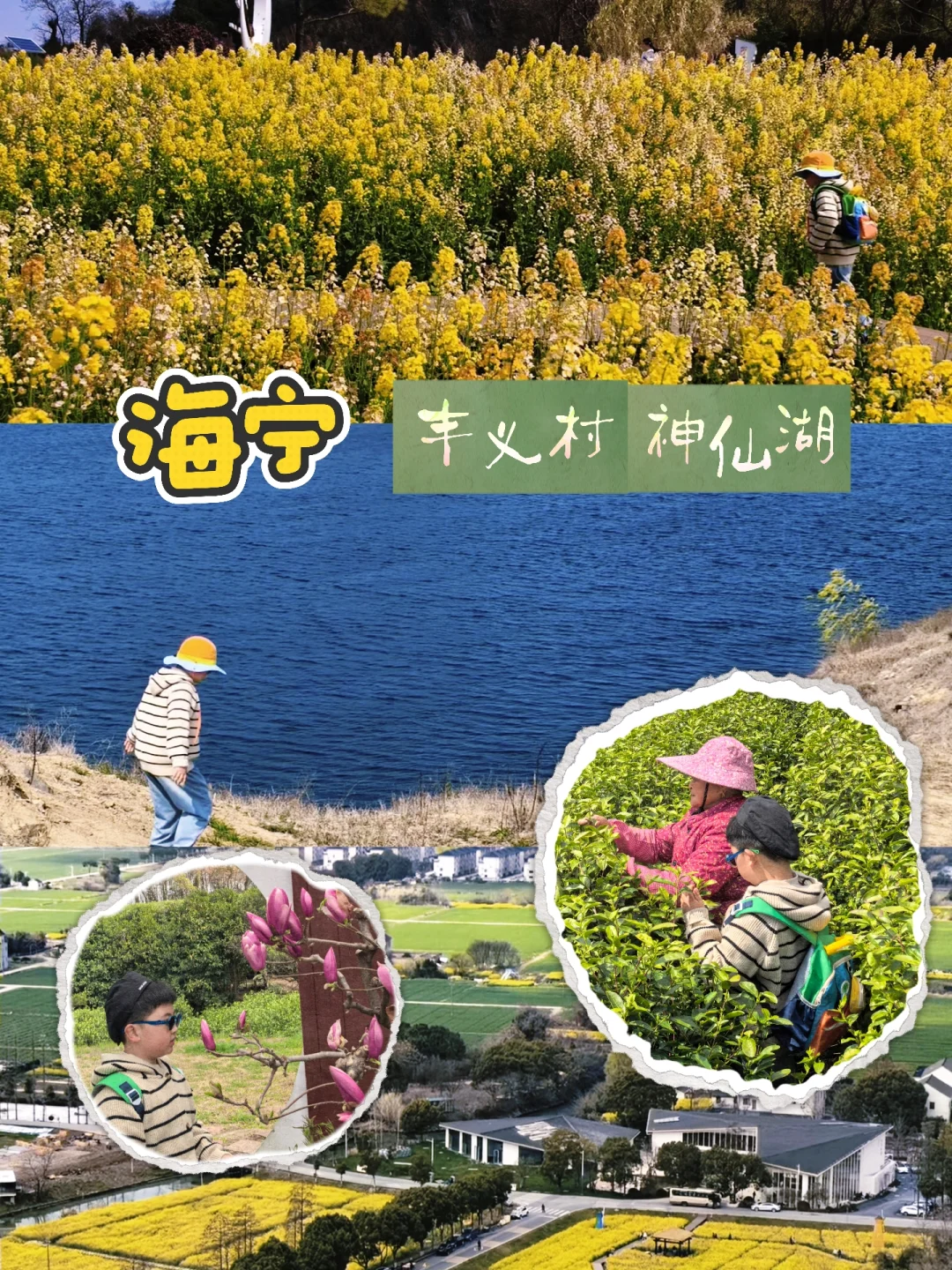 上海周边🌱钻防空洞、采新茶、看峡湾湖