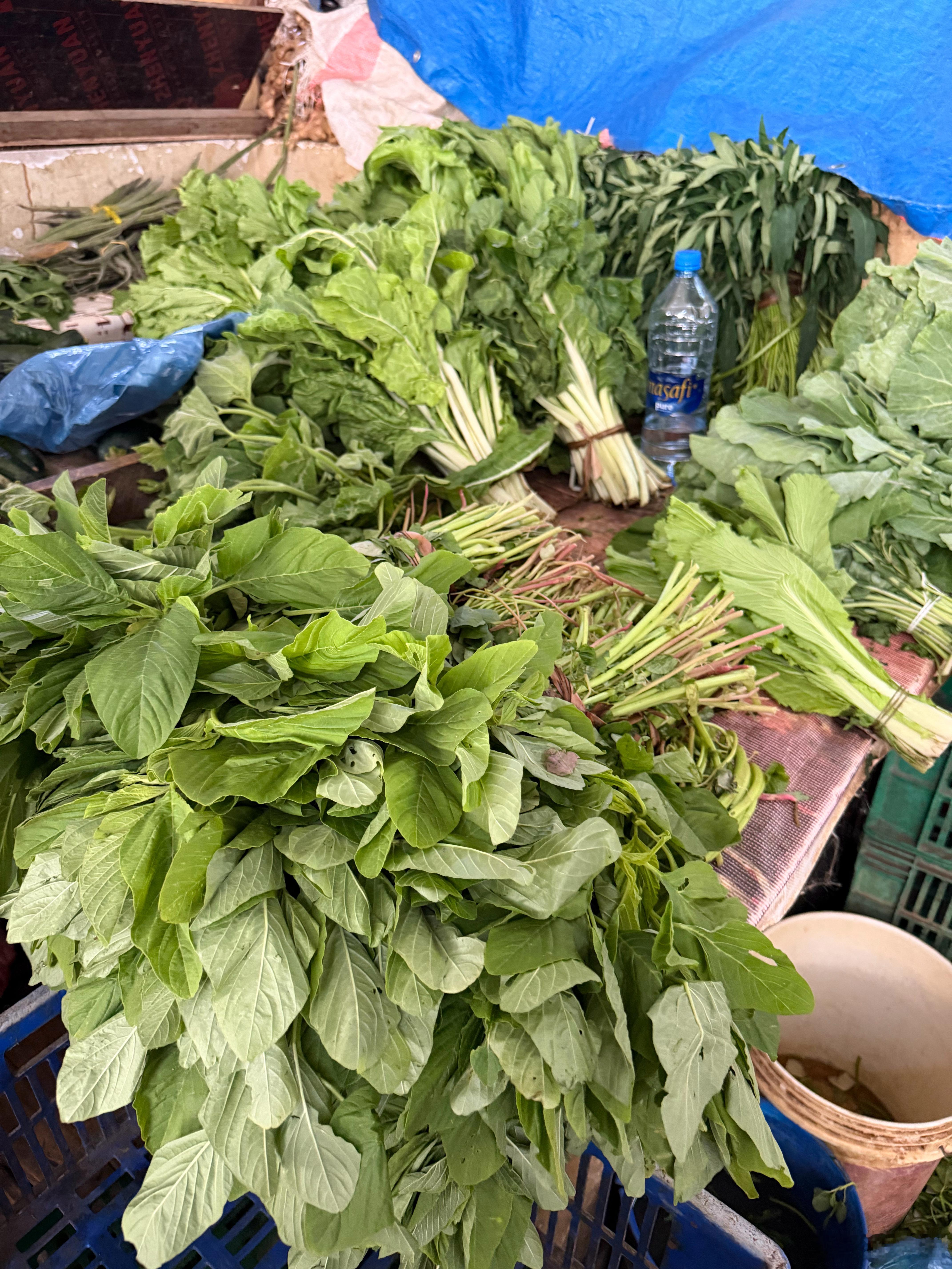 【达累斯萨拉姆菜市场一览】

来到达市的菜市场，你才发现，原来坦桑尼亚的蔬菜品种丰富程度，并不亚于中国。

我几乎找出了大部分国内常见的蔬菜品种，甚至看到了好多种我在国内没见过的品种（下一篇会发图片）。

因为我以前去的欧洲地区（高纬度地区），中东地区（干旱地区），基本上蔬菜就是老三样 ​
