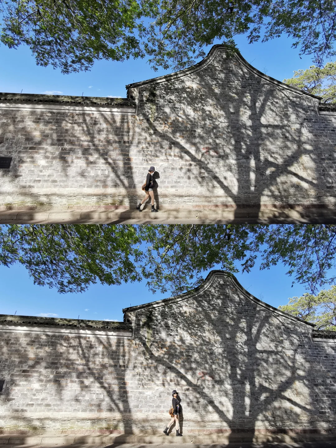 十一反向旅游|宁波，总要去看一次天一阁吧