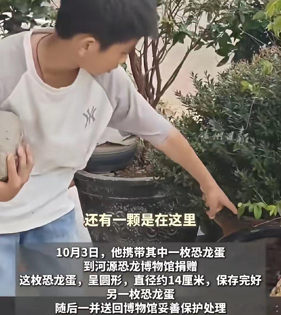 #小孩哥回应捡到6500万年前恐龙蛋#河源的恐龙蛋申请了世界吉尼斯纪录，说明在远古时期，我们美丽的河源是恐龙数量相当之丰富。

小孩哥这么棒，这不奖励几本练习册啊！ ​