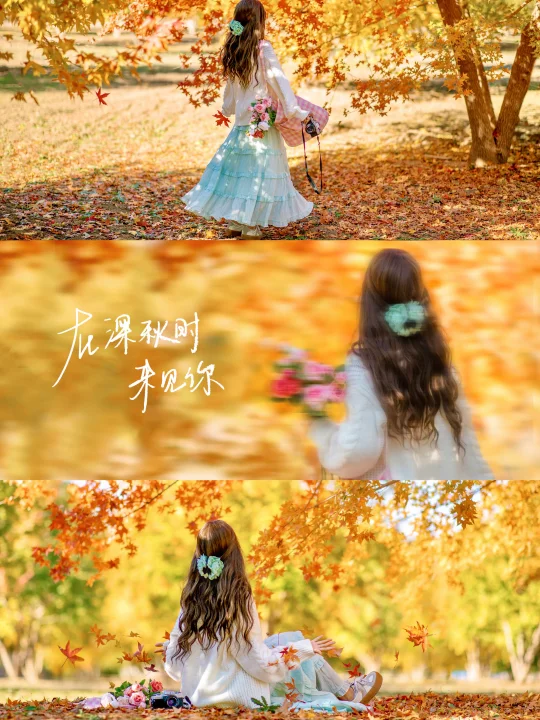 秋天公园落叶电影感拍照|附滤镜调色教程