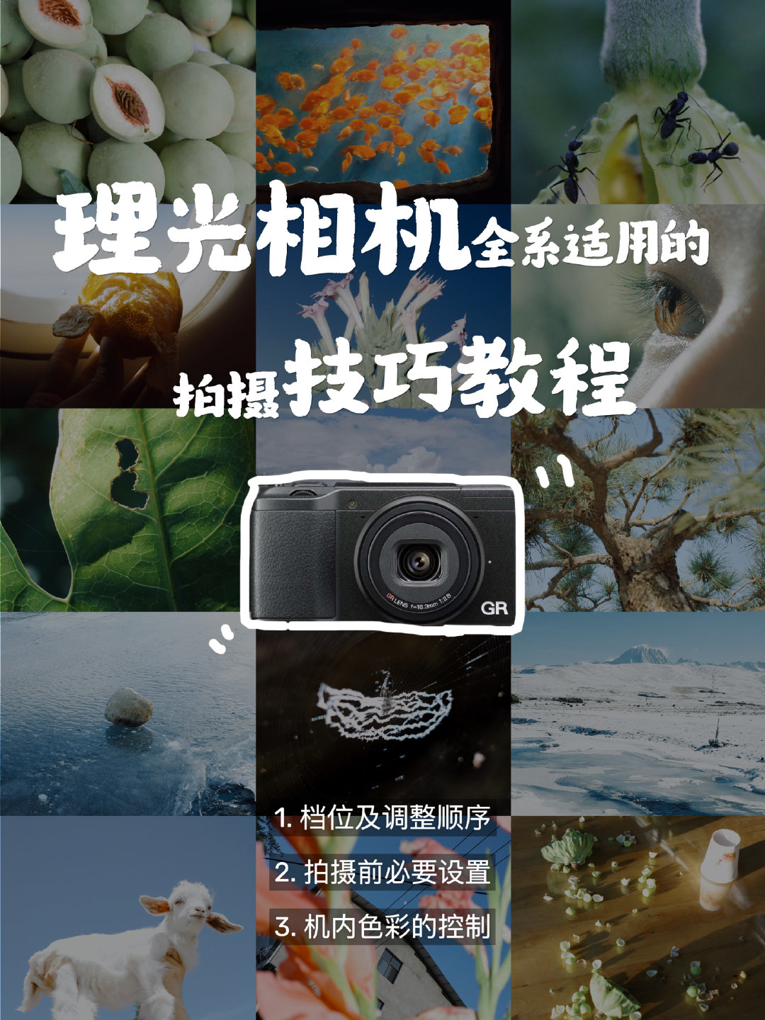 作为理光相机八年的深度适用用户&理光GR SPACE官方特邀讲师，终于要来给大家分享这期 —— 新手可以直接套用的GR 拍摄教程/实用教程了！

文字版大纲如下👇详细还请移步图片哦。

一、使用档位
ISO值的参考设置及一个拍摄习惯/tip分享

二、拍摄前的必要设置
1️⃣裁切功能快捷键
2️⃣滤镜选择
3️⃣擅用【微距模式】
tip：如何最大程度在前期控制想要的画面构图

三、前期色彩设置
1️⃣K值自动/手动设置
2️⃣白平衡偏移
3️⃣两套“万能参数”分享

如果你喜欢我的照片，还可以直接保存下来，观察是否有可以参考的地方，然后就用这套参数，大胆地去拍吧！

#摄影灵感上新##直出是理光GR的灵魂#