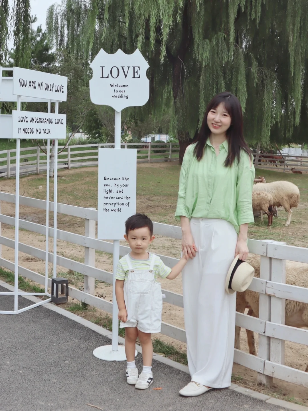 北京遛娃|藏在市区内可以露营的绵羊牧场⛺️