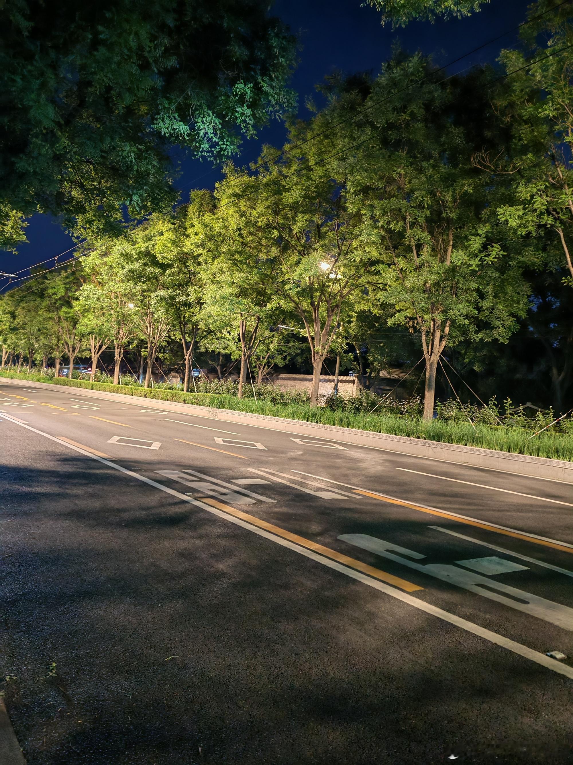 今天是宝贝儿的生日，我跟爸爸带宝贝一起去三元里市场买罗氏虾，海螺🐚牛...
