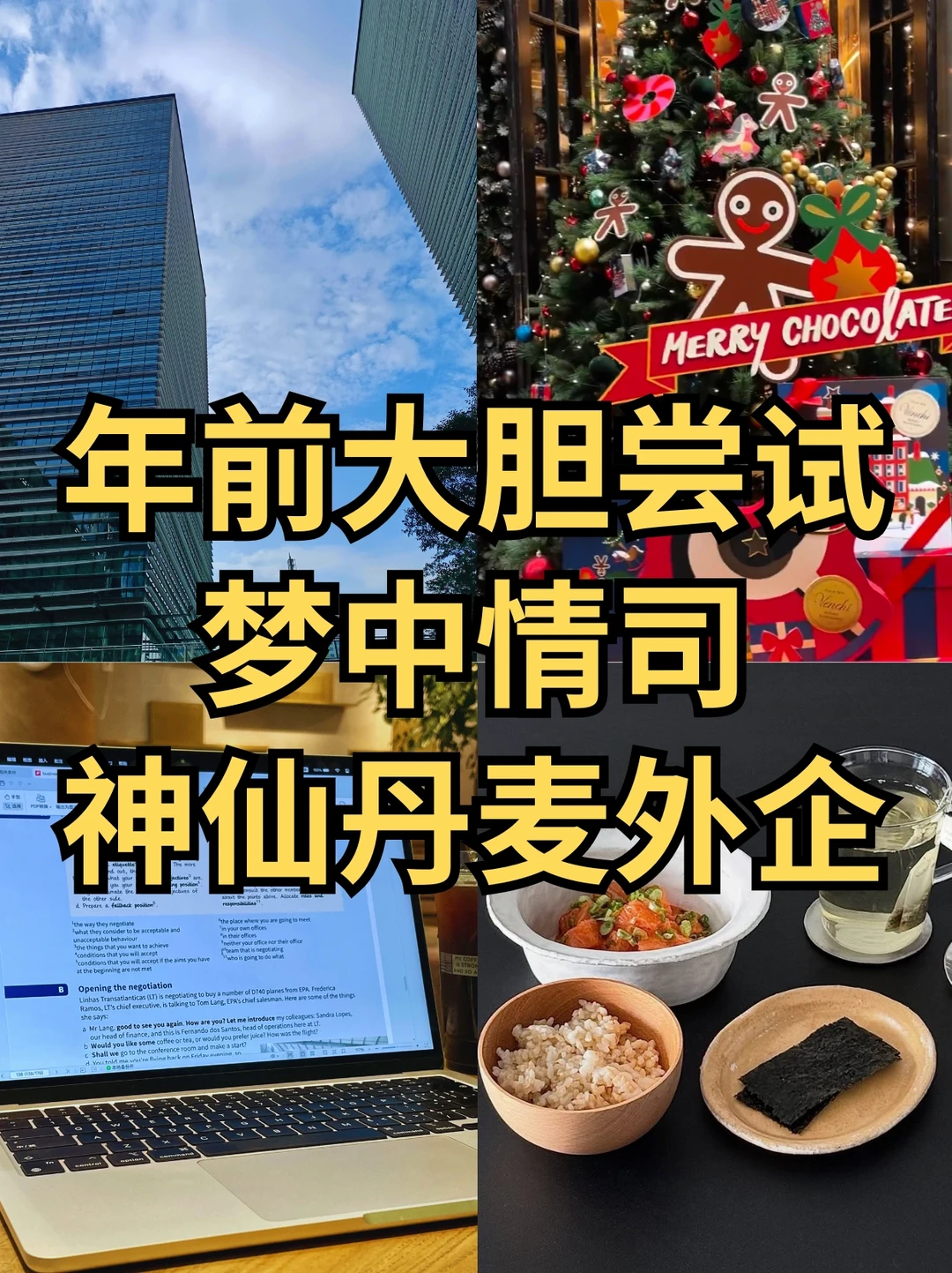 年前大胆尝试！梦中情司：丹麦外企🇩🇰