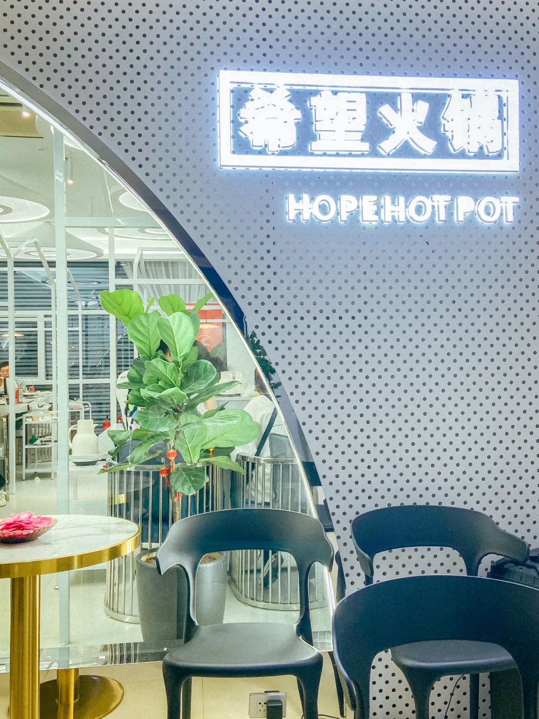 龙港财富探店|温州苍南 网红风希望火锅🍲