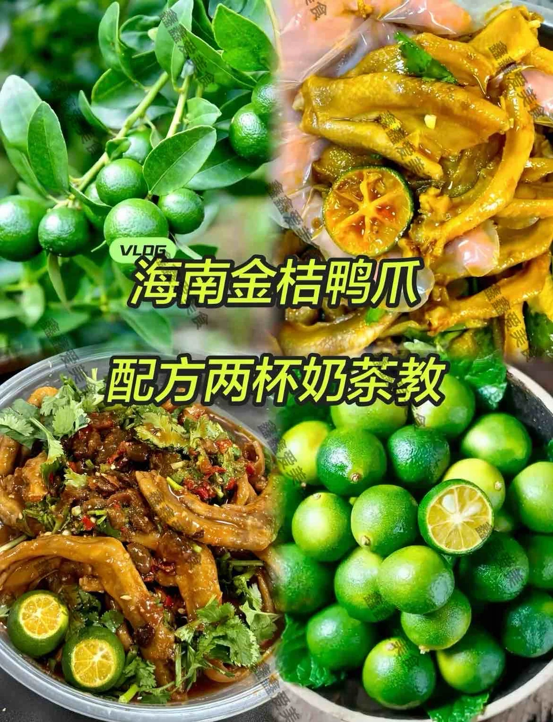 ㊙️海南金桔鸭爪配方揭秘👍小吃摆摊创业必备