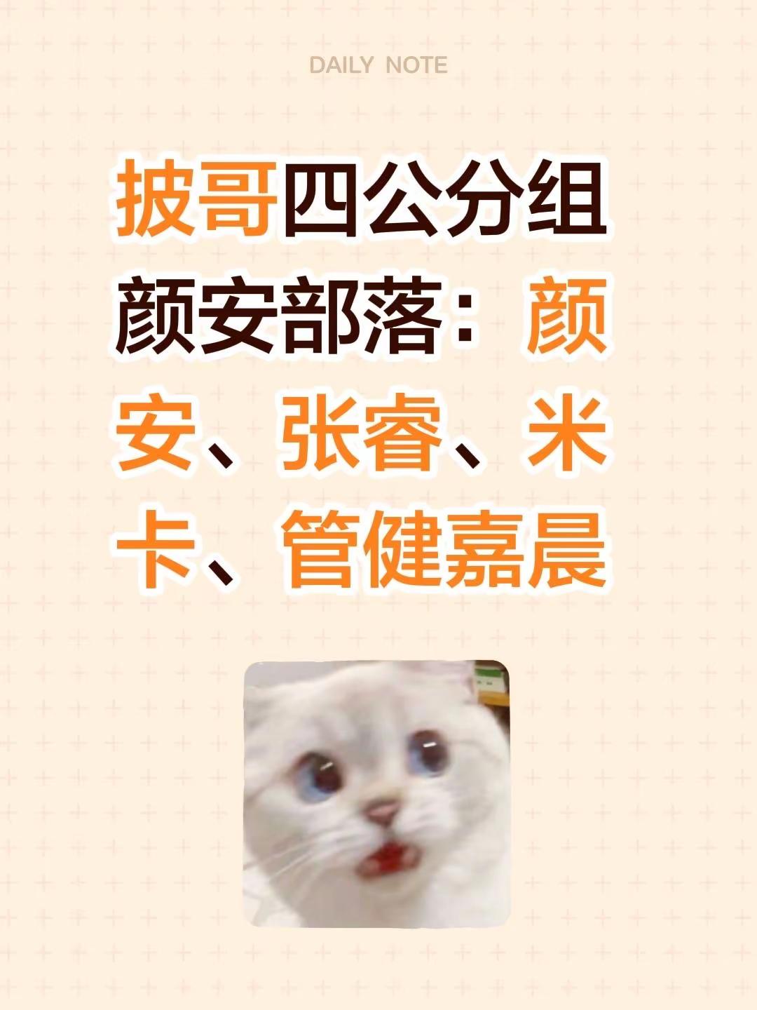 安队收入张睿 四人锐不可当。披哥四公分组颜安部落：颜安、张睿、米卡、管健嘉晨张睿 颜安