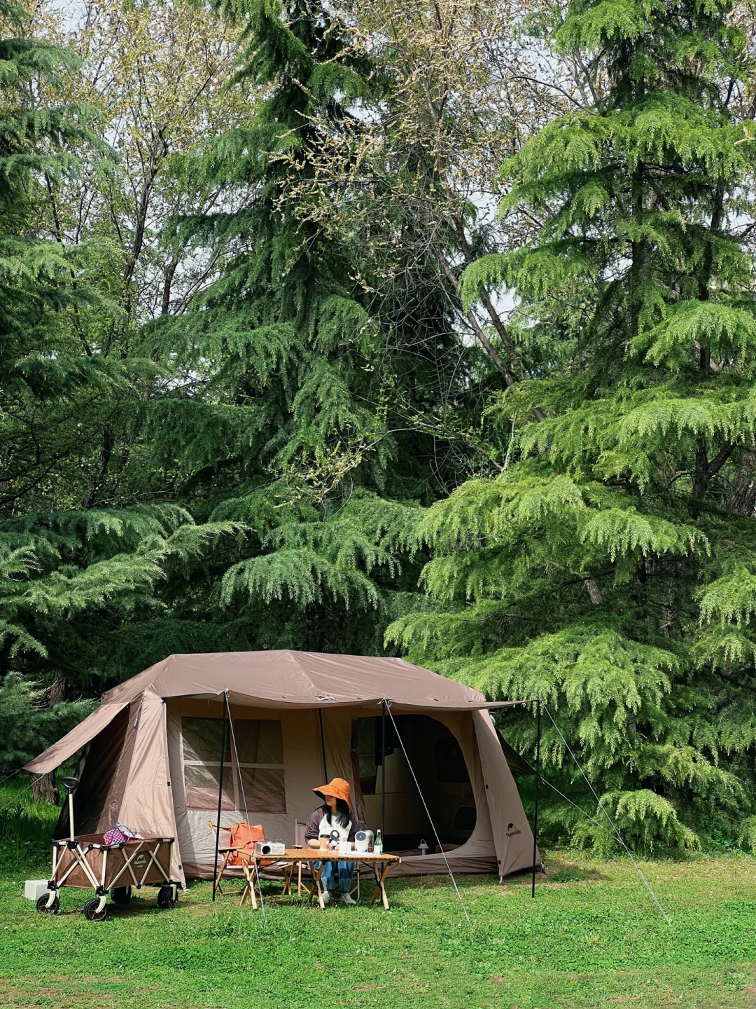 我的秘密露营地像在森林里一样 可烧烤过夜