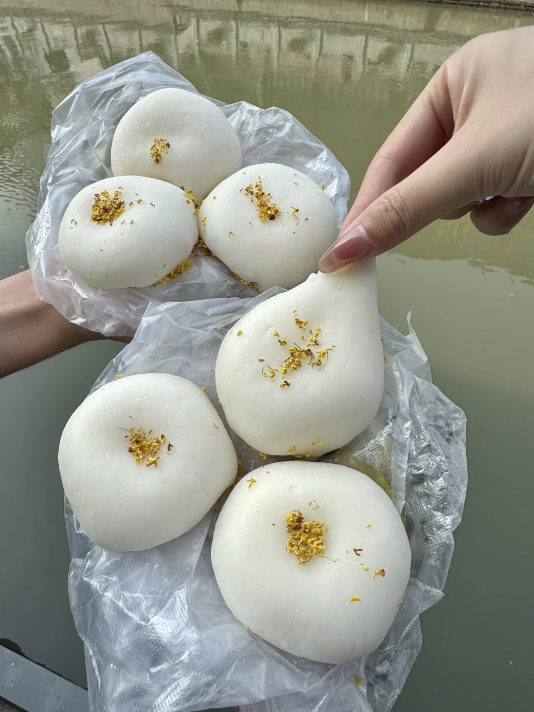 感觉是南京目前top1好吃的……🥹🥹