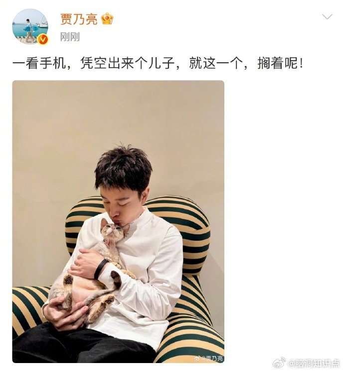 贾乃亮晒小猫照片辟谣有个儿子。

起因：有网友爆料离婚多年做直播的男明星有儿子很久了，不少人猜测该艺人为贾乃亮。

#贾乃亮否认有个儿子##贾乃亮辟谣有个儿子# ​#娱乐[超话]# ​