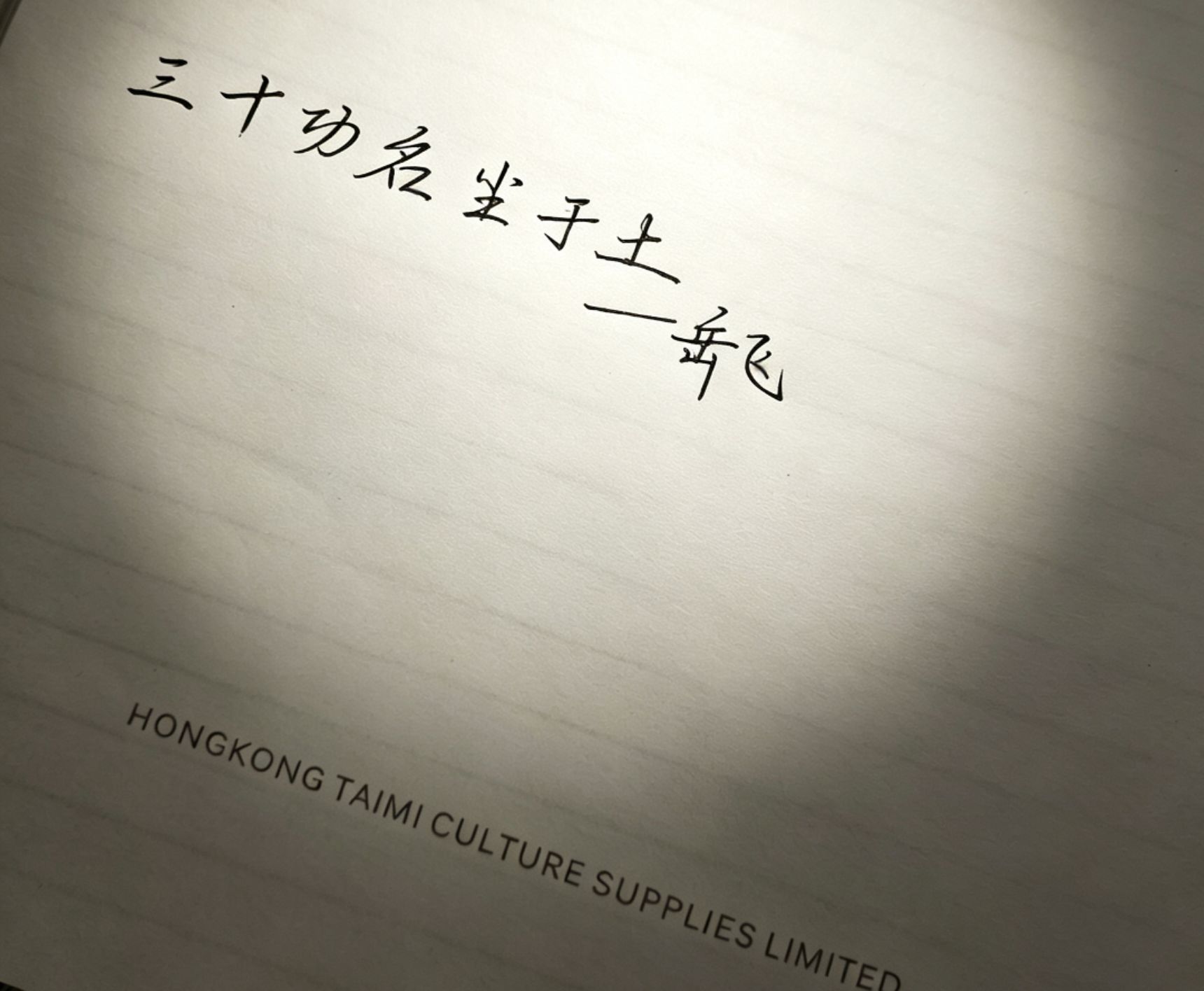 岳飞😭😭😭😭😭