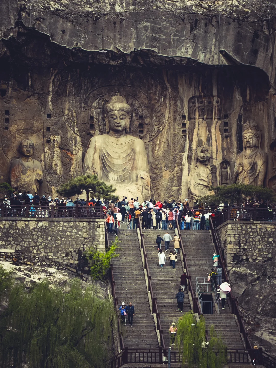 穿越千年，梦回大唐｜龙门石窟太震撼啦！