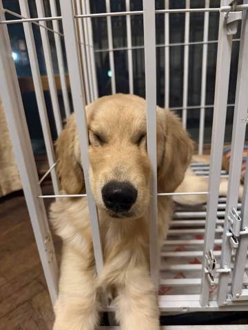 一抬头笑死劳资了