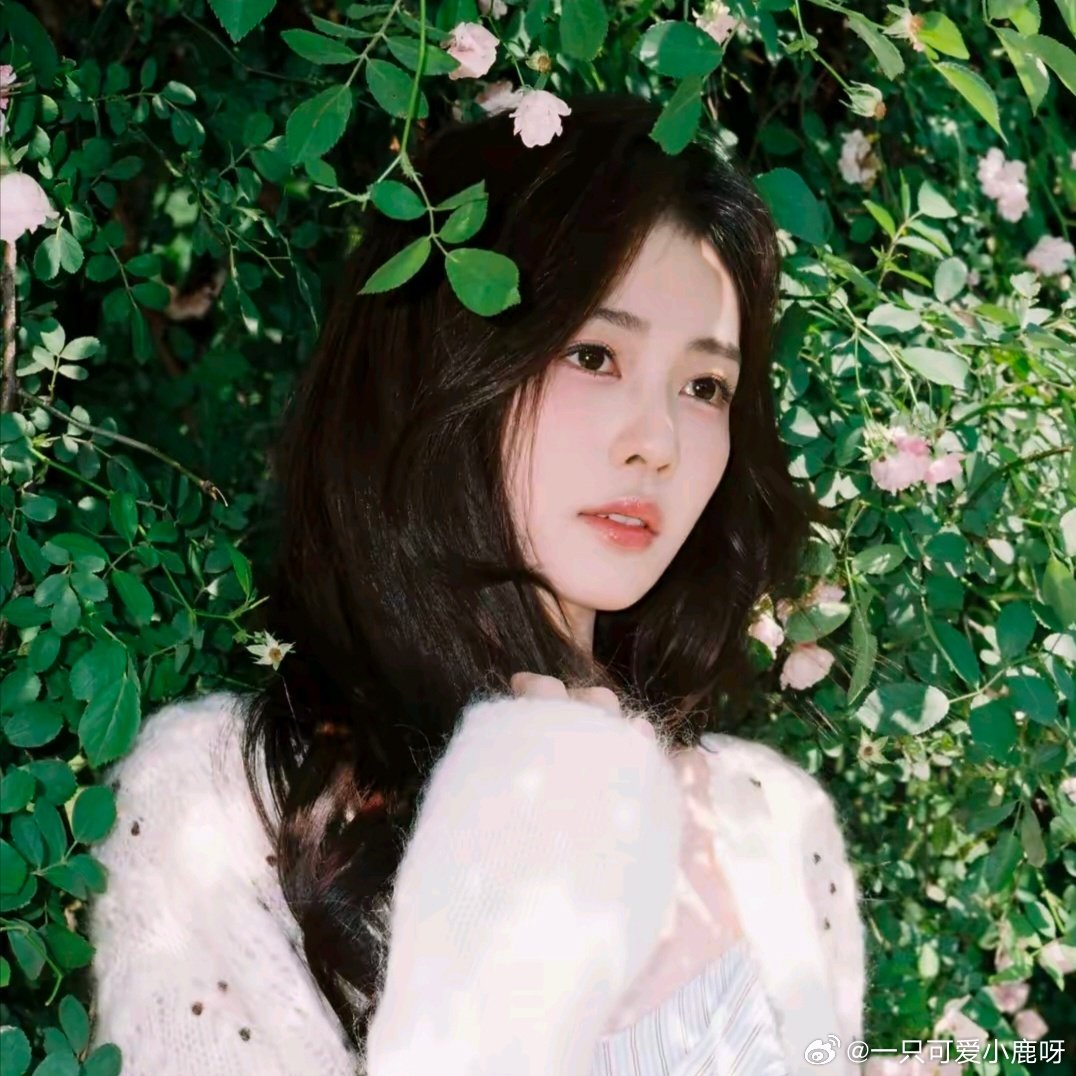 #白鹿[超话]##夏日Highlight时刻##白鹿王韵娜##开到荼蘼#
 美美的鹿er ​