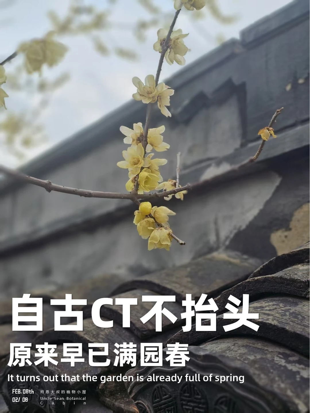 行色匆匆不抬头，原来早已春满园👇