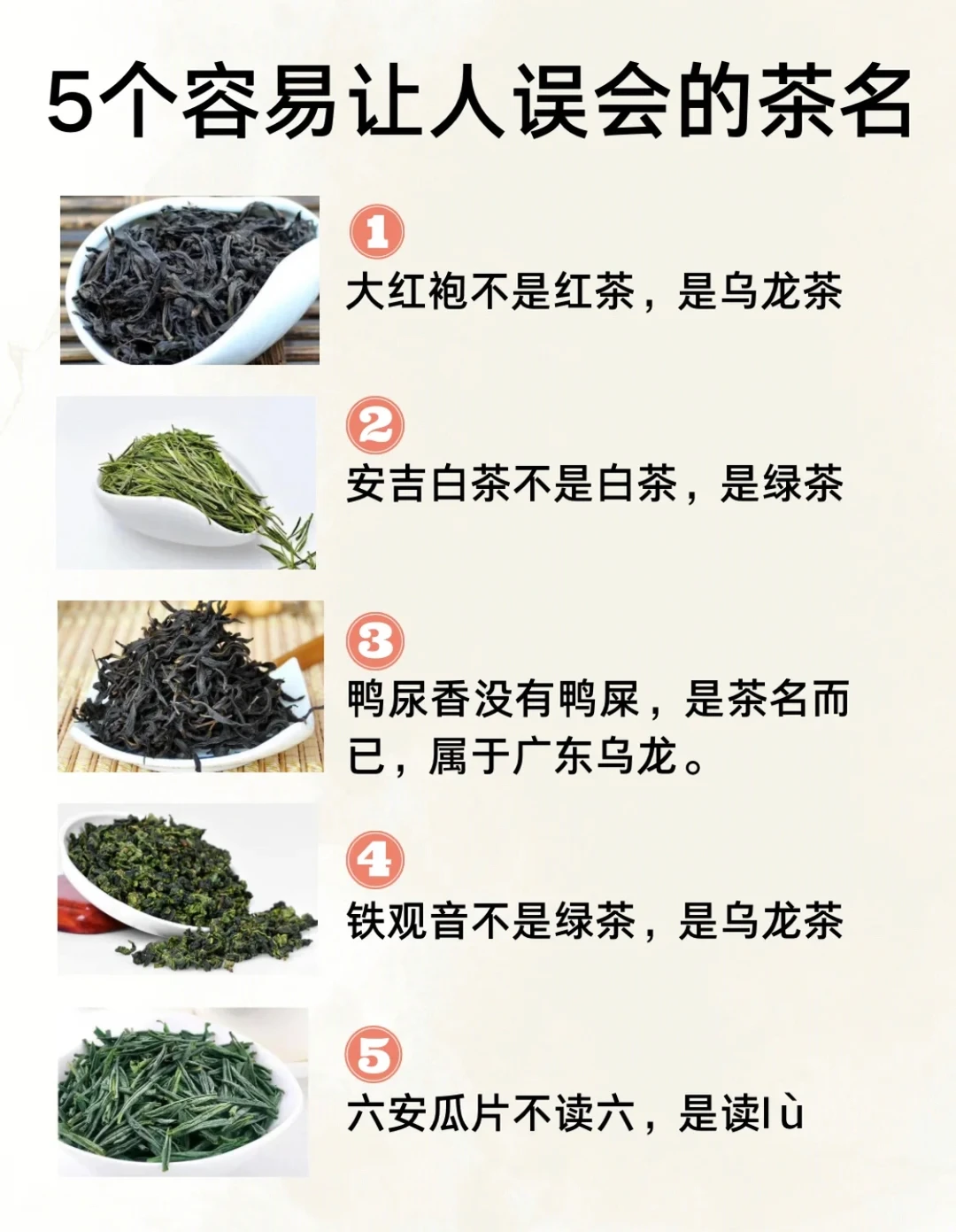 5款最容易搞错的茶，你知道是哪些吗？