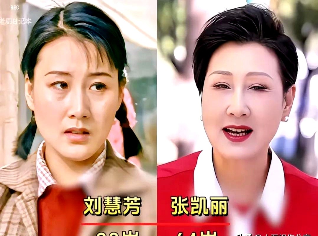 张凯丽、李雪健、孙松、蓝天野、梁冠华，这套阵容放到今天根本凑不齐。

一转眼几十年过去，当年一到播出时间，街坊邻里全守在电视机前看《渴望》。那时候看的就是演员扎实认真的演技，张凯丽演的刘慧芳，李雪健演的宋大成，孙松的王沪生，还有韩影的刘大妈、黄梅莹的王亚茹、吴玉华的肖竹心、梁冠华的大头。每一位都把角