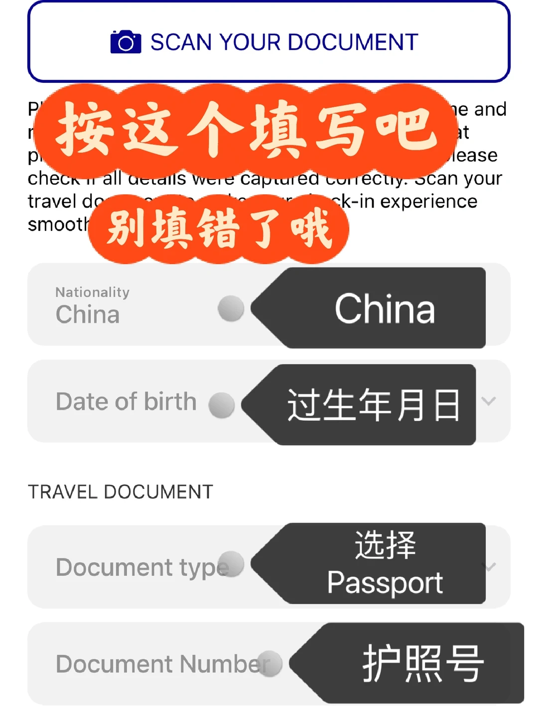 手把手教你wizz航空值机，超详细，不会打我