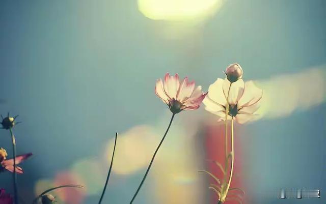 人到中年，才发现最危险的事莫过于遇见有好感的异性，而真的强者