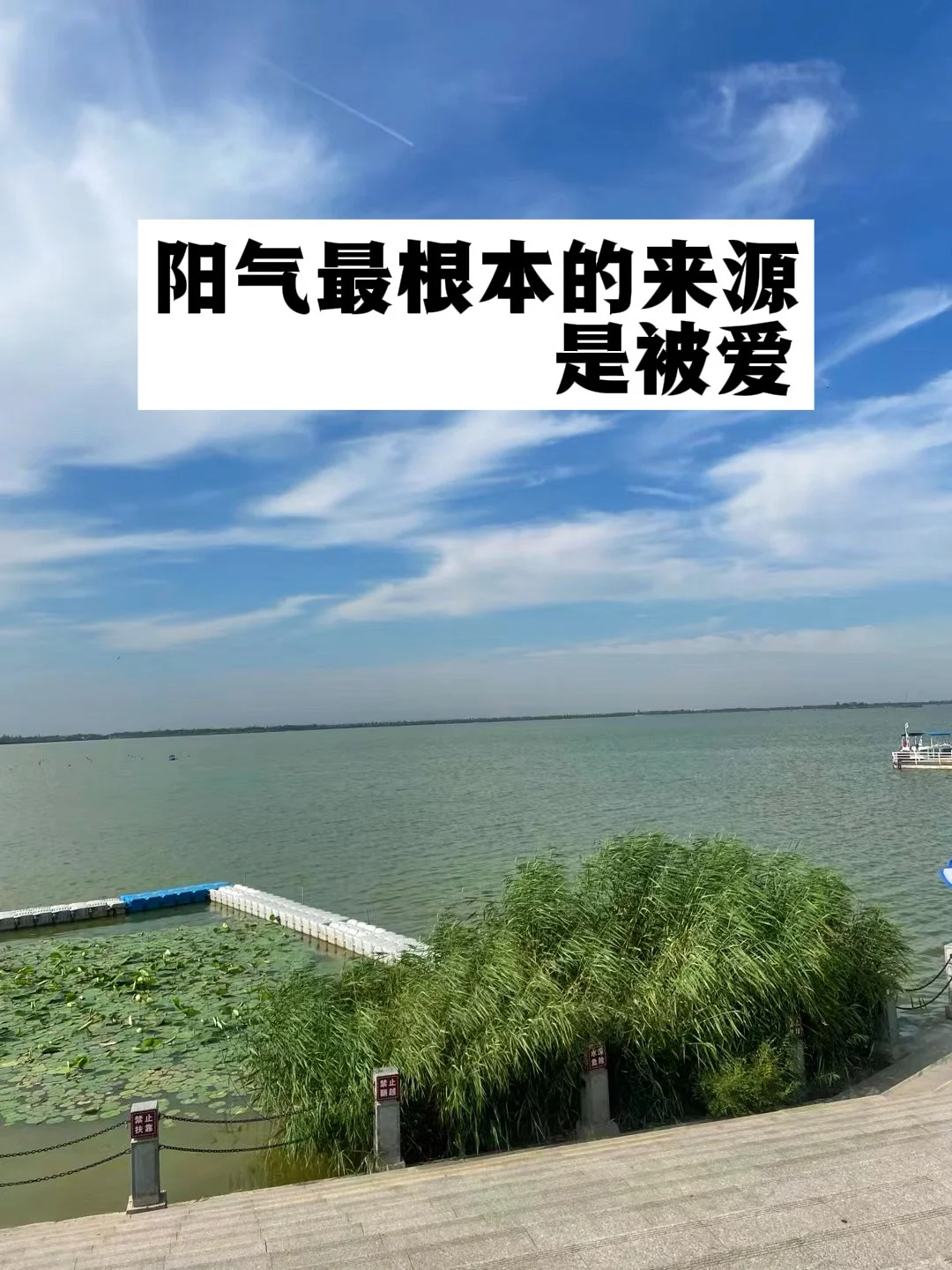 阳气最根本的来源是被爱.