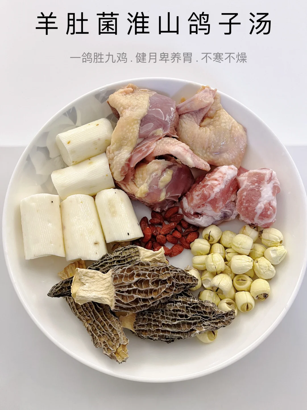 儿童孕妇爱喝的羊肚菌健月卑养胃鸽子汤