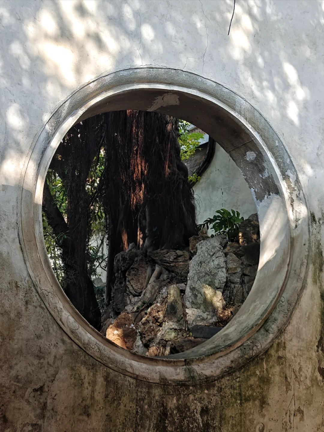 隐藏在三坊七巷隔壁街的宝藏园林