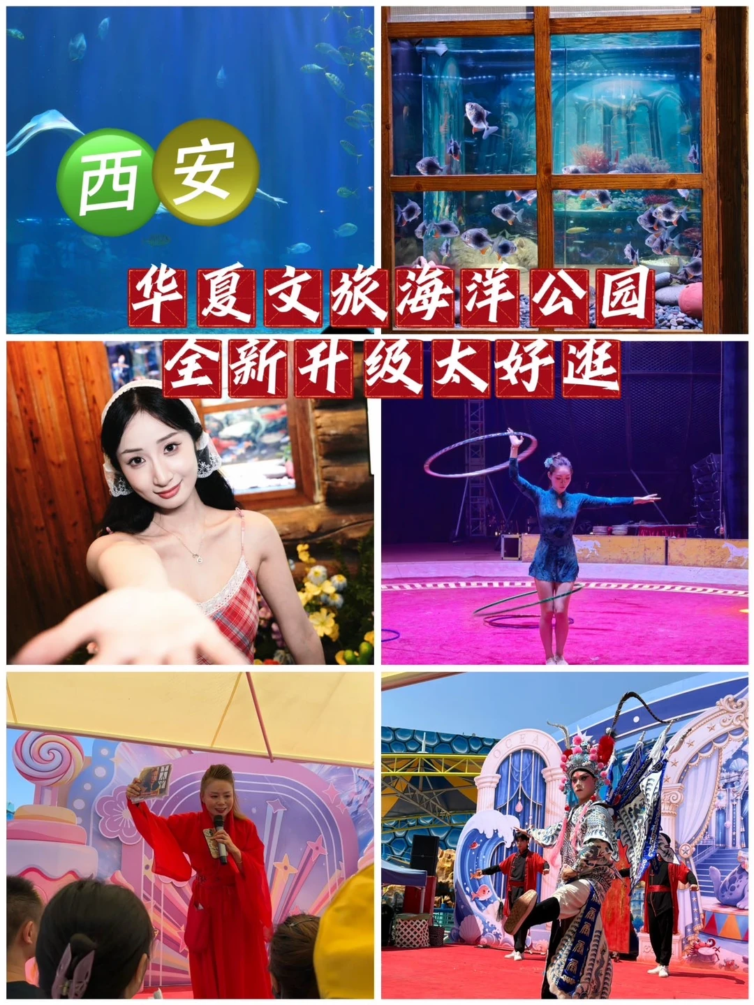西安暑期｜华夏文旅海洋公园全新升级太好逛 	 自费实测西安华夏文旅海洋...