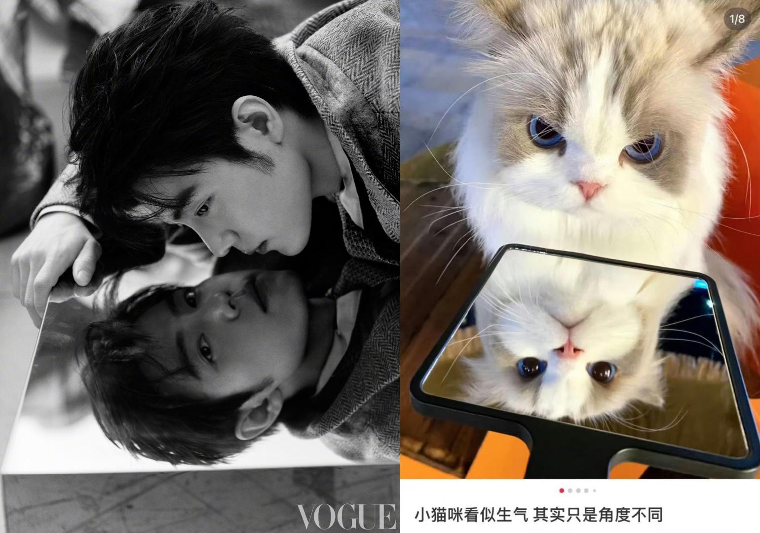 #肖战就这样cos猫咪摔倒#
肖战是小猫的一些些证据，被赞咪萌晕了[拜托] ​