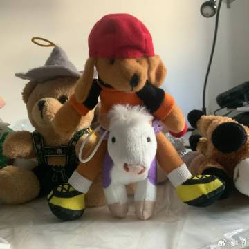 新朋友，狗狗骑牛牛