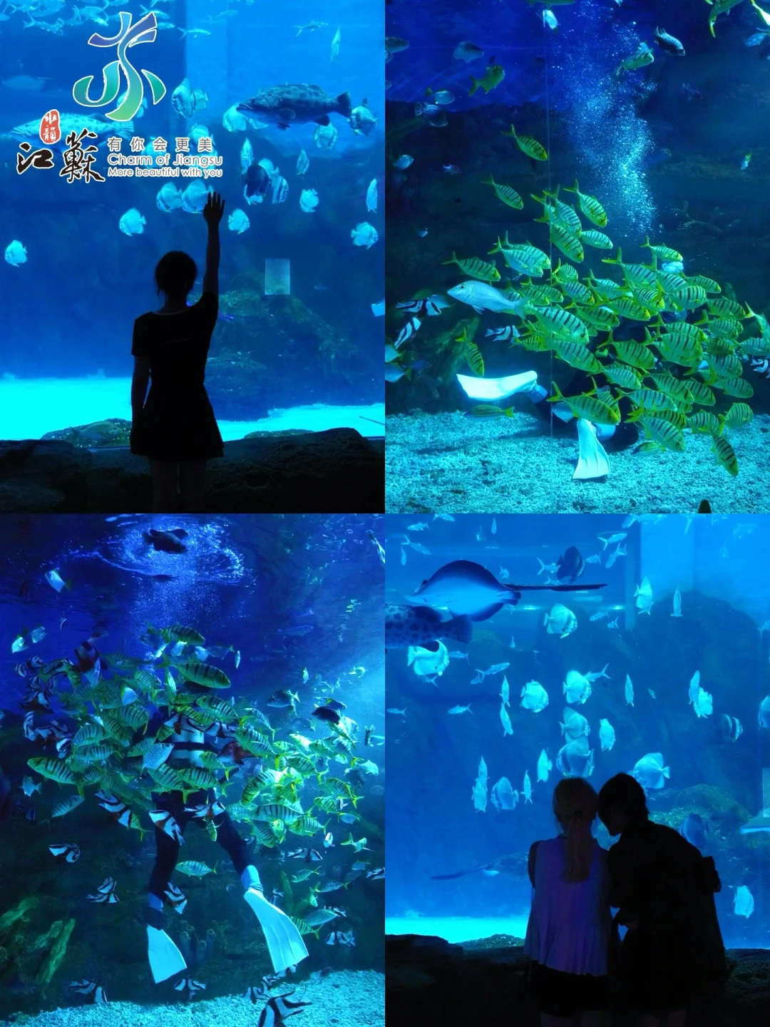 江浙沪避暑‼️我找到了超好玩的海洋乐园🏝️