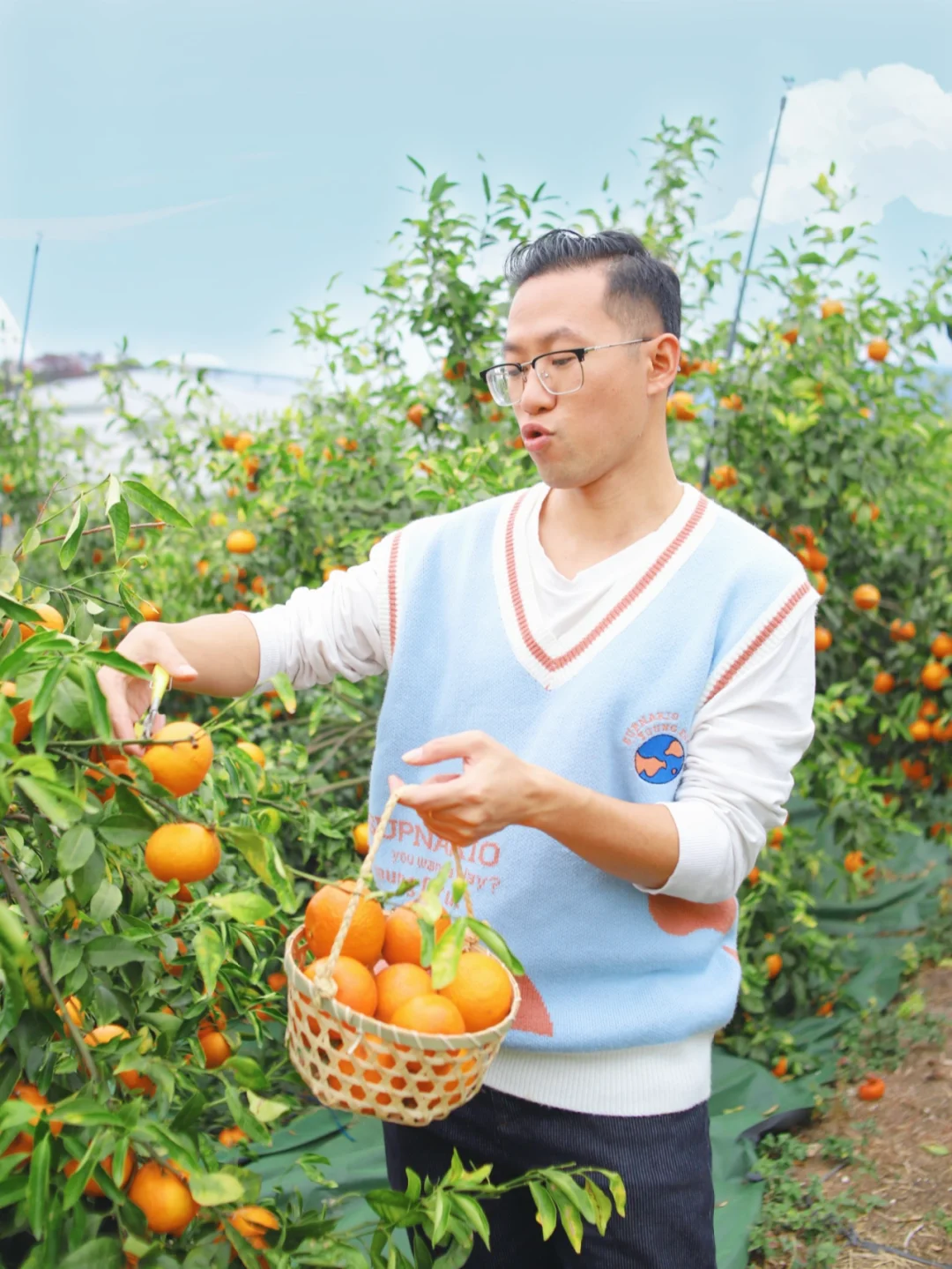 春节游｜登陆柑橘星球，大橘大利