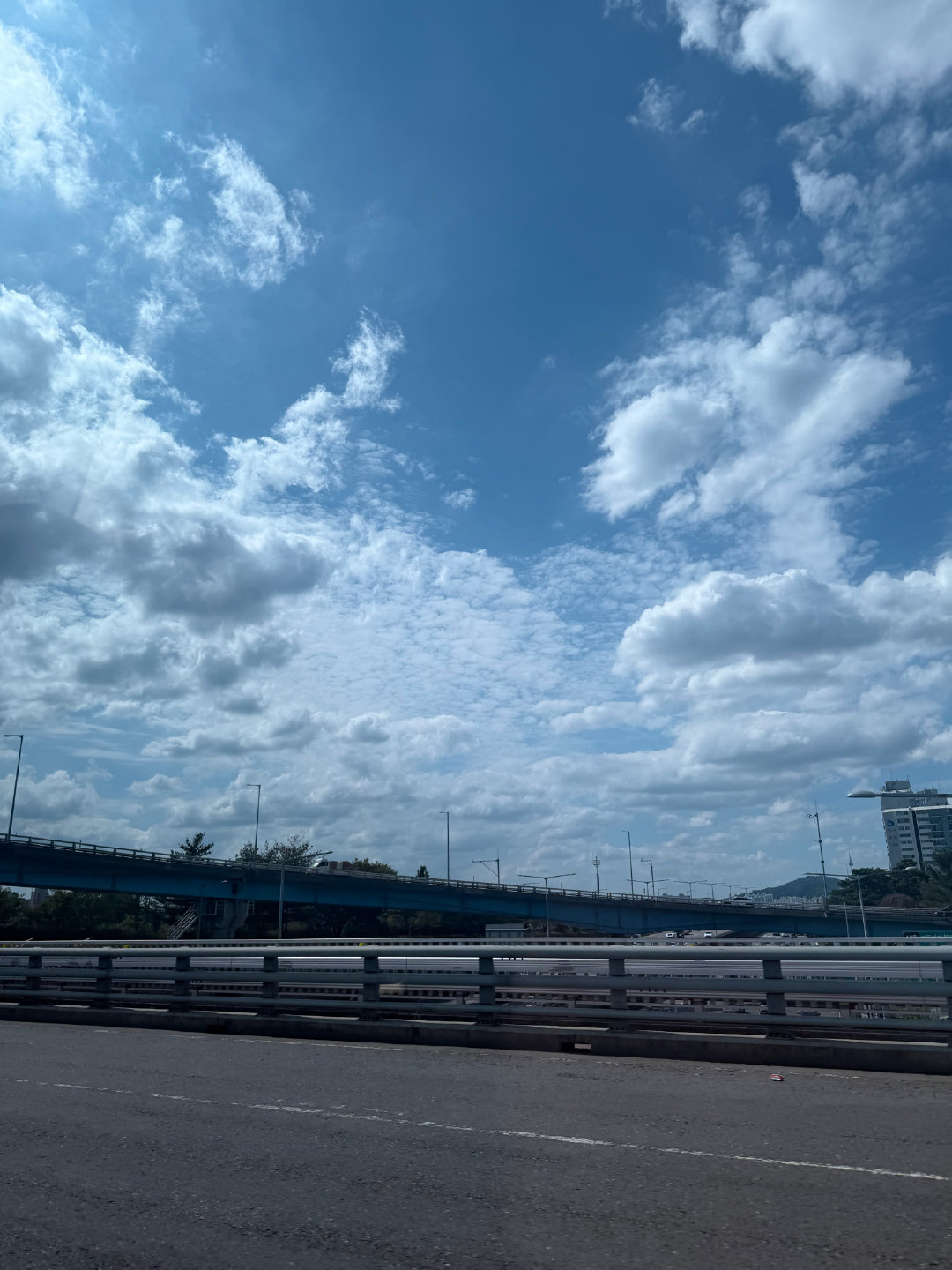 朴时宇泡泡🫧
这个家盛产树杈子 ​