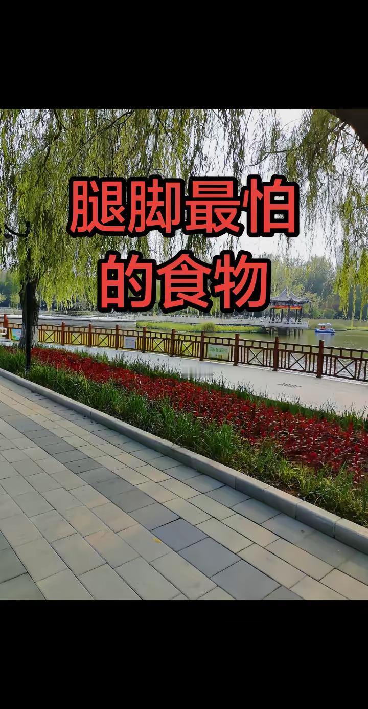 国乒女团3:0横扫日本🏓王曼昱五局逆转复仇亚运女团六连冠，拿下金牌！亚运会乒乓球 孙颖莎