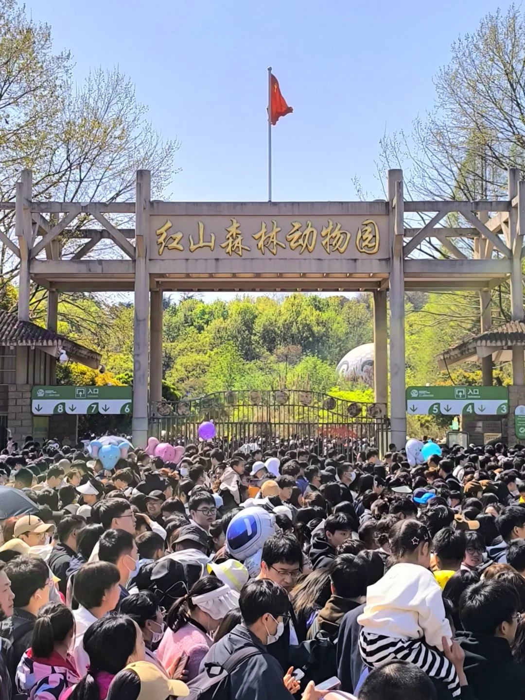 💥3万张！南京红山动物园等门票优惠30元